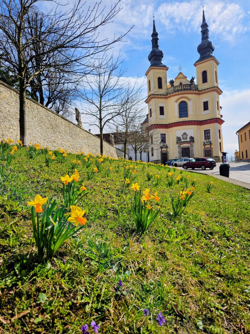 Květinové záhony na Návrší